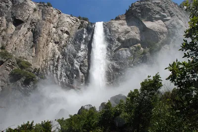 DSC_0062 (Large).JPG